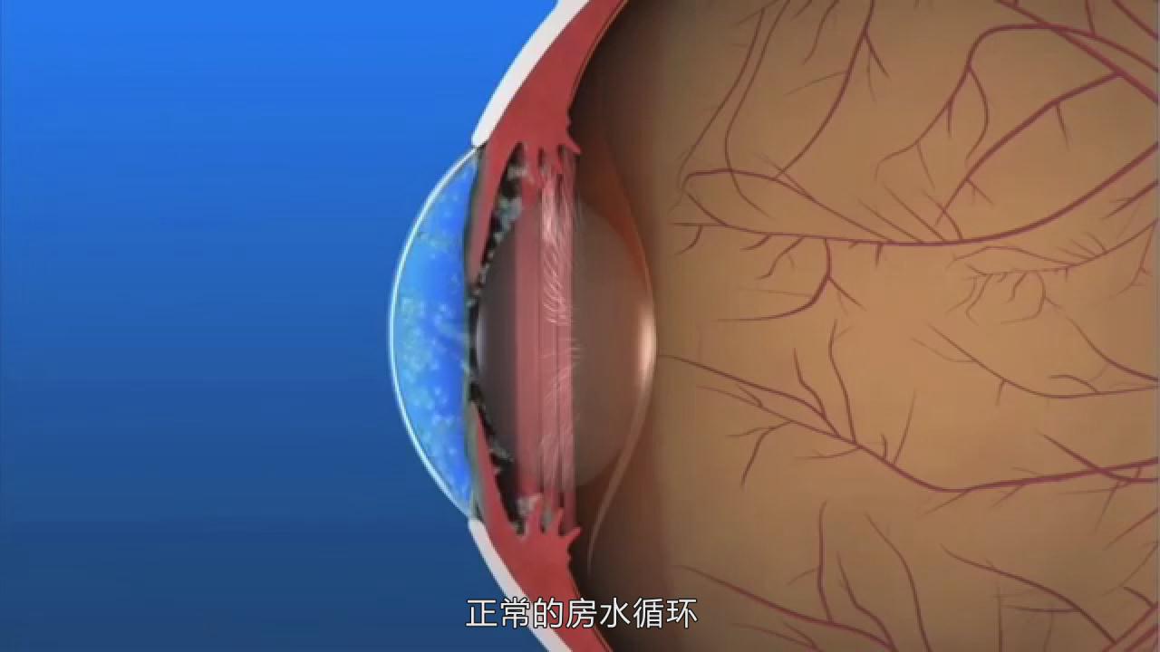 &#20061;&#28216;&#23448;&#26041;&#32593;&#39029;&#29256;&#45;&#20061;&#28216;&#40;&#20013;&#22269;&#41;